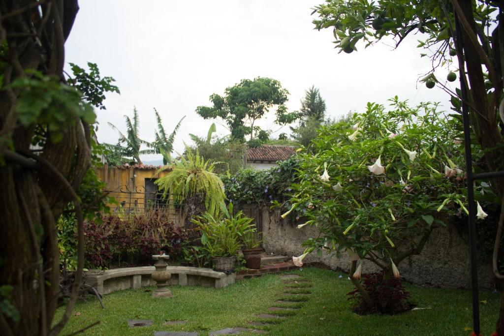 מלון אנטיגואה גואטמלה La Casa De Don Pedro מראה חיצוני תמונה